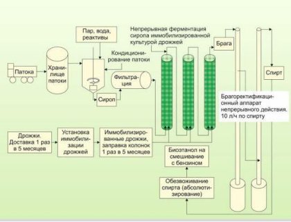 Биодизель: особенности биотоплива