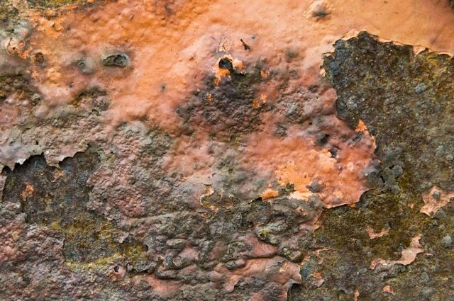 Где находится и как заменить топливный фильтр в автомобиле? 5 советов при выборе фильтра