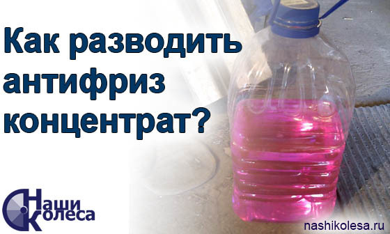 Как правильно разводить концентрат антифриза? 7 рекомендаций и правил