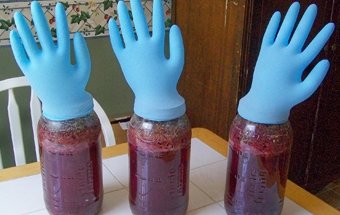 Как приготовить наливку из малины в домашних условиях?