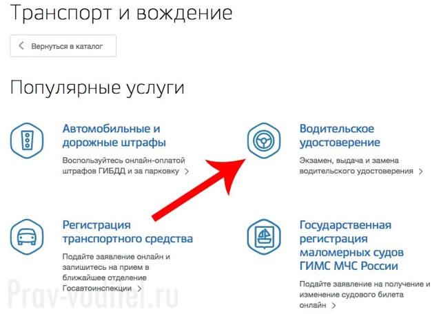 Как заменить водительские права? необходимый пакет документов и процедура в 2019 году