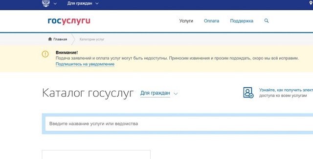 Как заменить водительские права? необходимый пакет документов и процедура в 2019 году