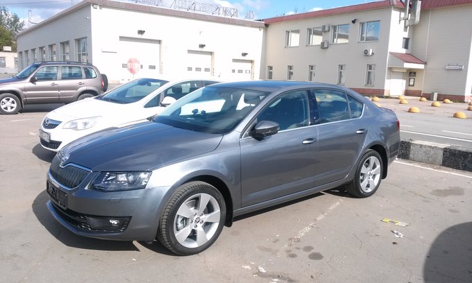 Какая защита картера на skoda octavia a7 лучше: советы, плюсы и минусы