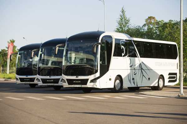 Отзывы владельцев man lion’s coach