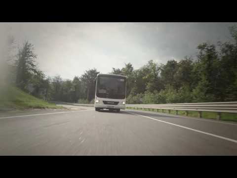 Отзывы владельцев man lion’s intercity