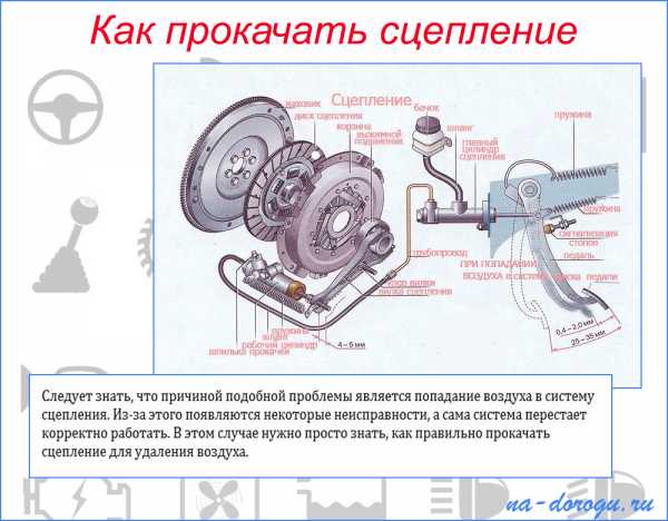 Понятие регулировки сцепления, инструкция процесса, подготовка и этапы