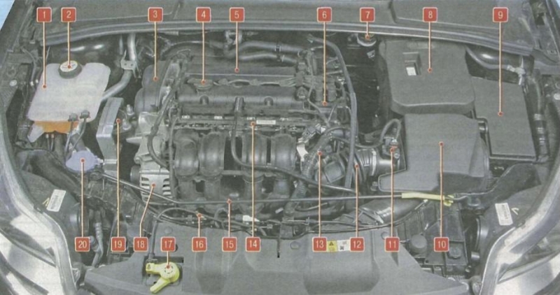 Предохранители ford focus 3: характеристики, расположение и инструкция