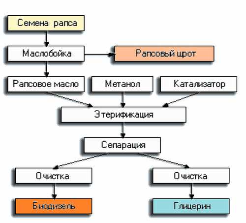 Производство биотоплива из водорослей, опилок и рапса