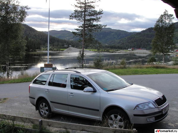 Skoda octavia a5 combi отзывы