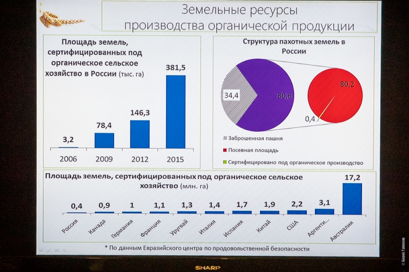 Страховщикам откроют доступ к данным с муниципальных видеокамер