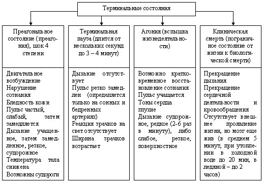 Техника и порядок проведения сердечно-легочной реанимации при дтп
