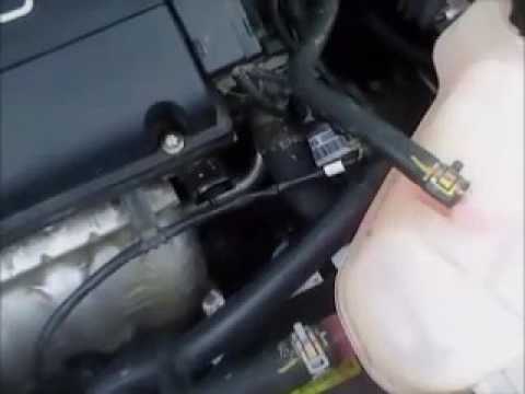 Все о замене антифриза на chevrolet aveo: советы и пошаговая инструкция