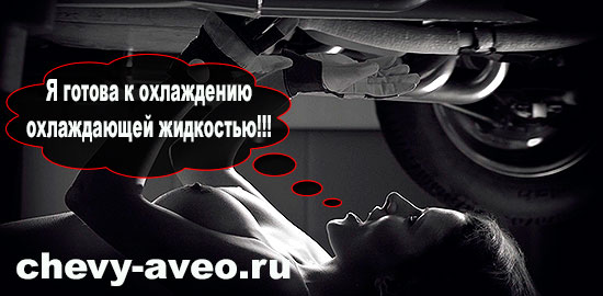 Замена охлаждающей жидкости авео фото