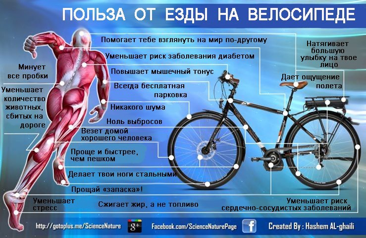 Какая польза от езды на велосипеде