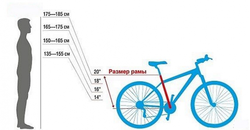 Какую выбрать раму для велосипеда?