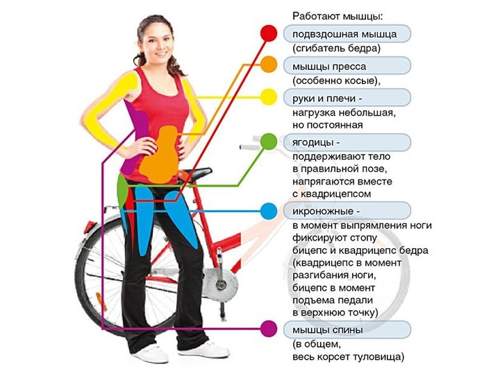 Правильная техника езды на велосипеде