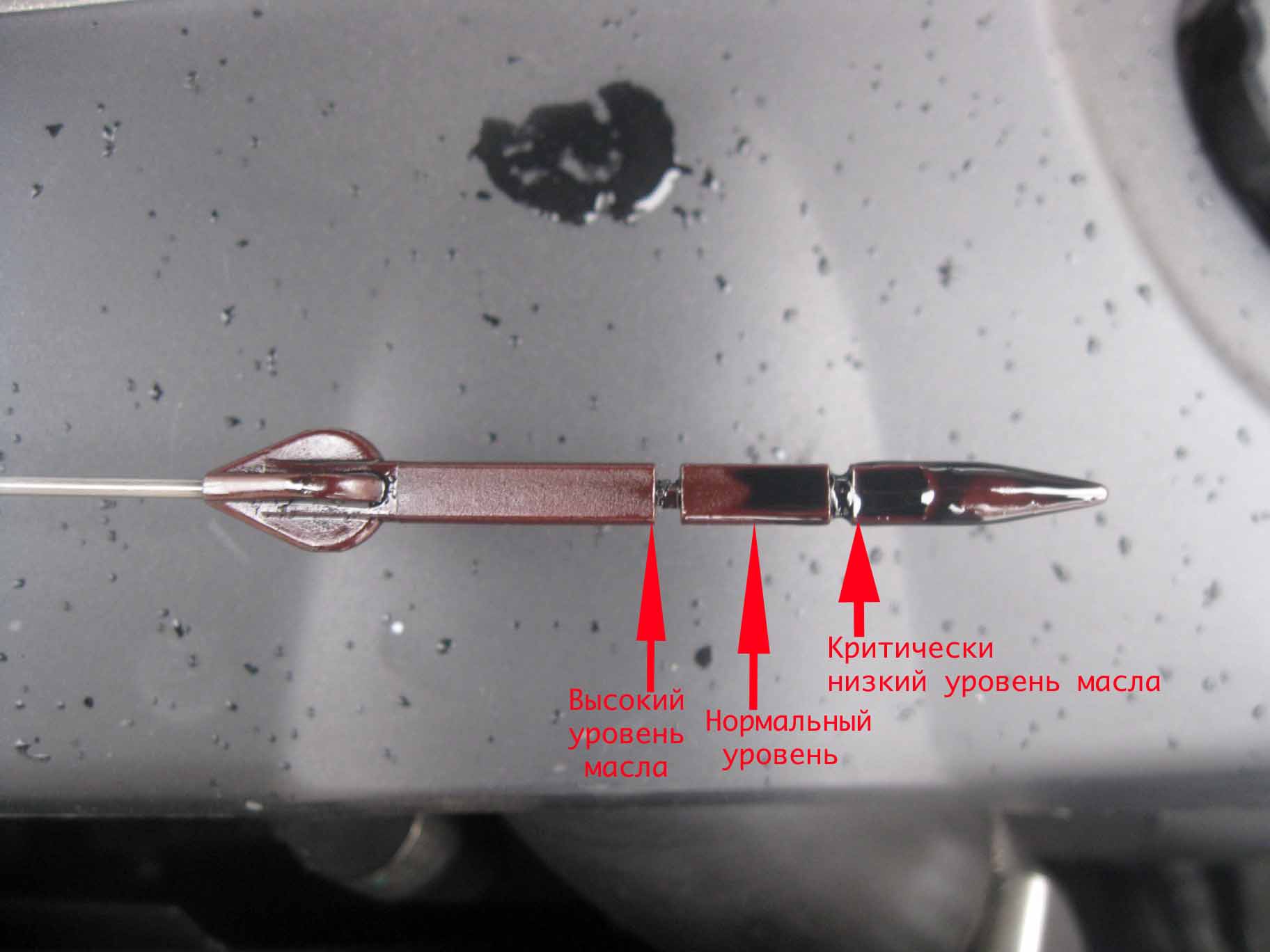 Как проверить уровень масла в АКППОпрос